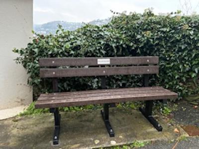 New Seat at Hannafore Lane